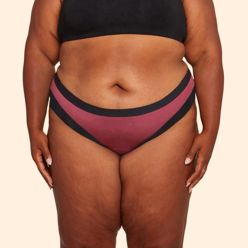 Thinx Cotton Bikini Canyon Front